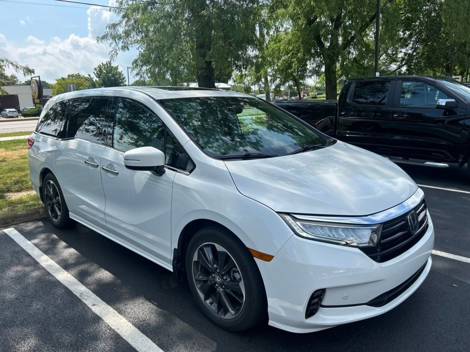 Certified Used 2023 Platinum White Pearl Honda Elite image 5
