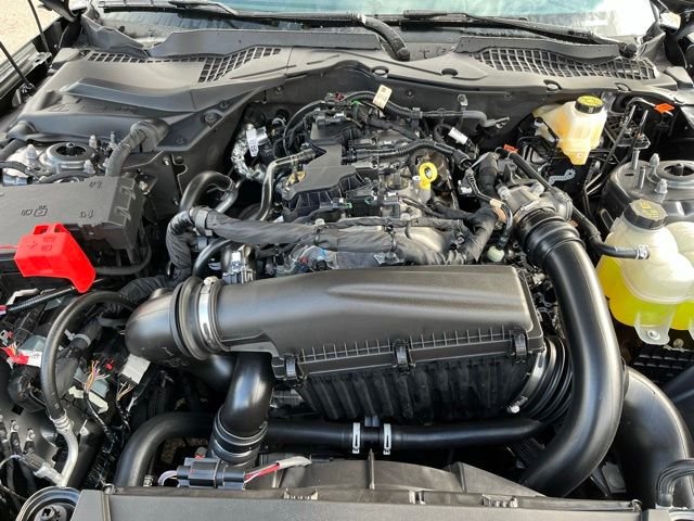 New 2026 Carbonized Gray Metallic Ford EcoBoost® Fastback image 19