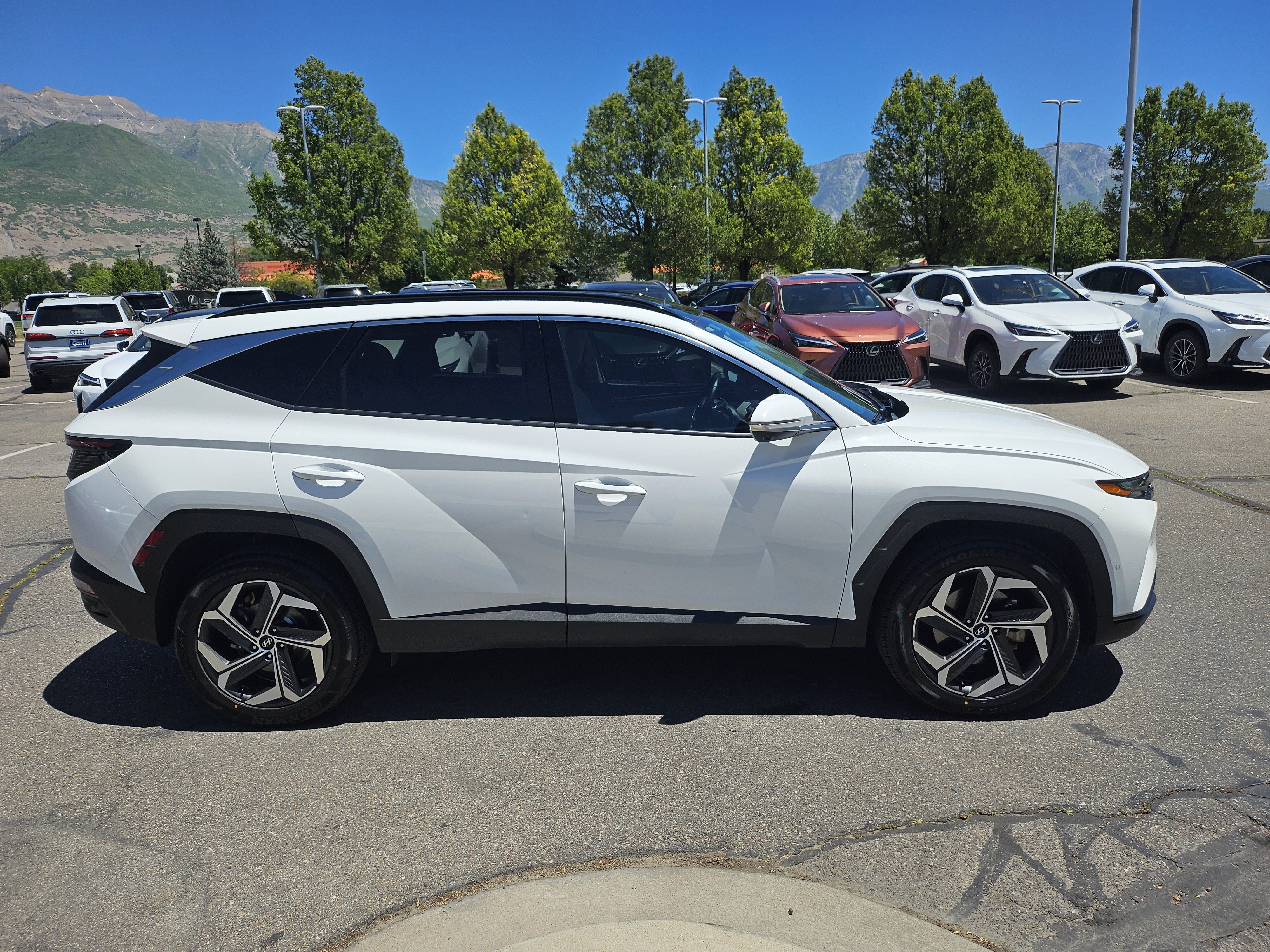 Used 2023 Serenity White Pearl Hyundai Limited image 4