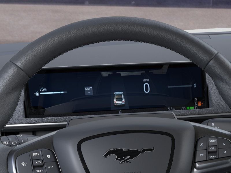 New 2026 Shadow Black Ford Premium image 13