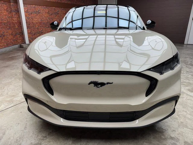 New 2025 Beige Ford Premium image 8