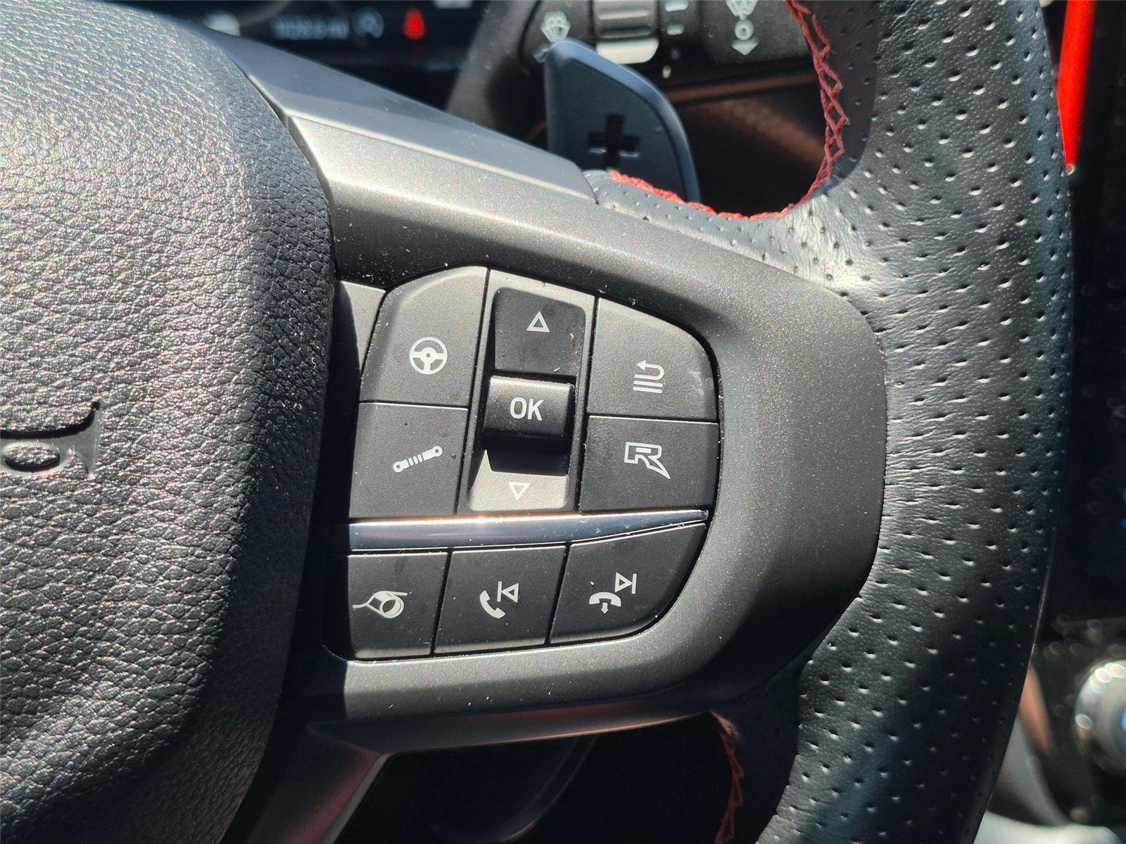 Used 2025 Marsh Gray Ford Raptor image 18