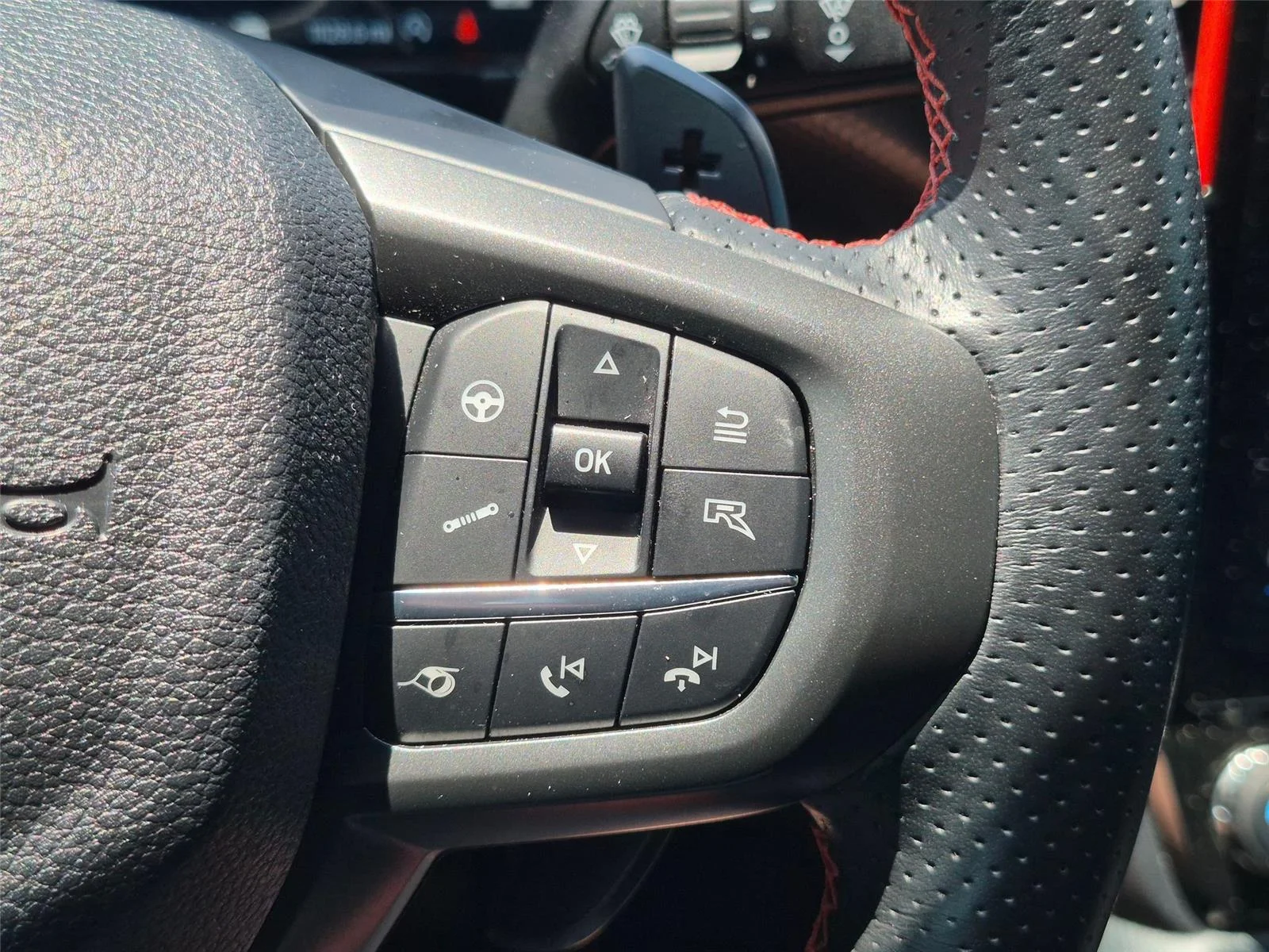 Used 2025 Marsh Gray Ford Raptor image 18