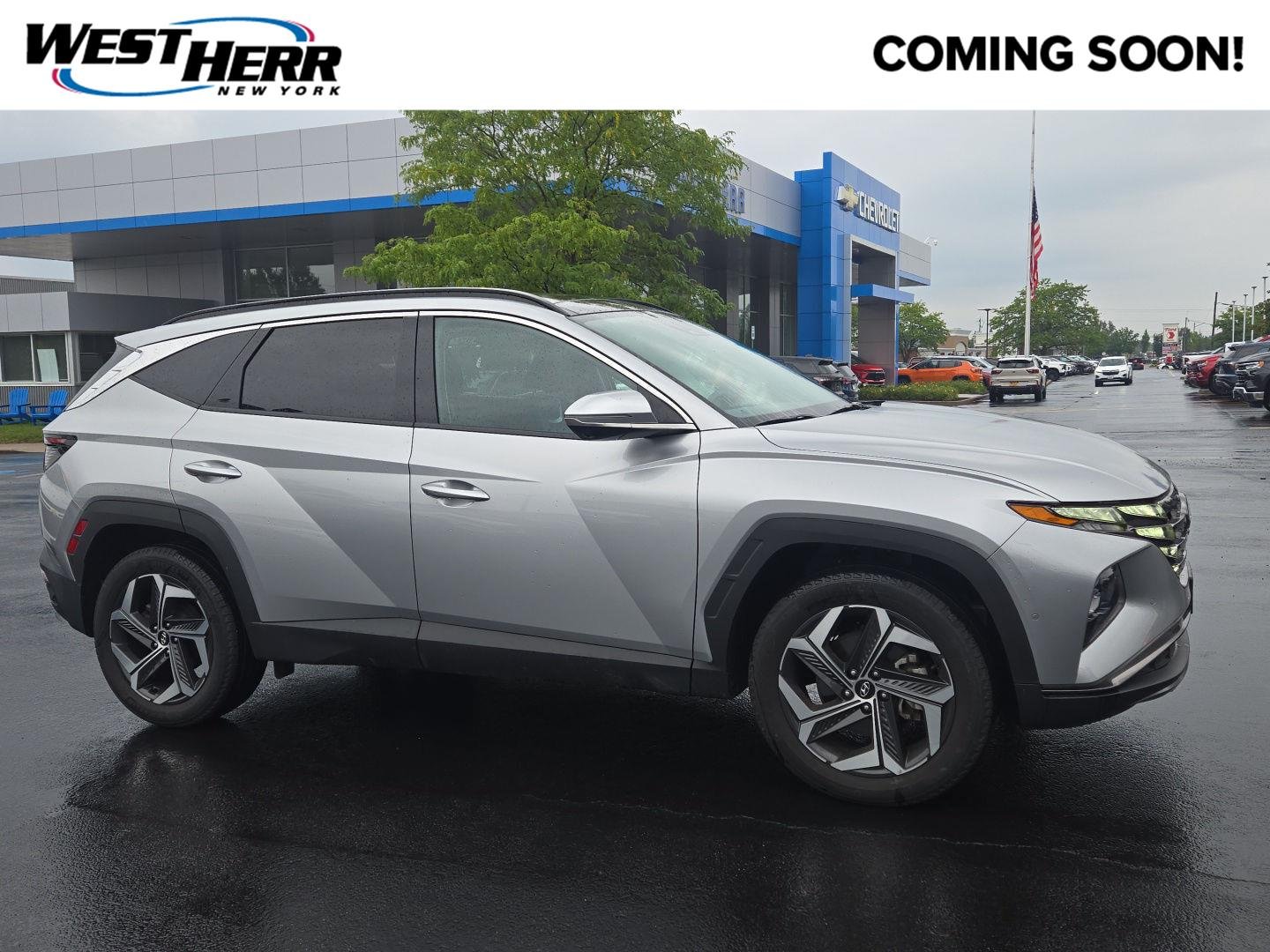 Used 2024 Shimmering Silver Hyundai Limited image 1