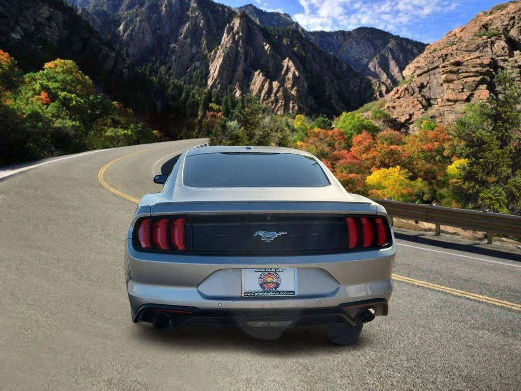 Used 2020 Silver Ford EcoBoost Premium image 4