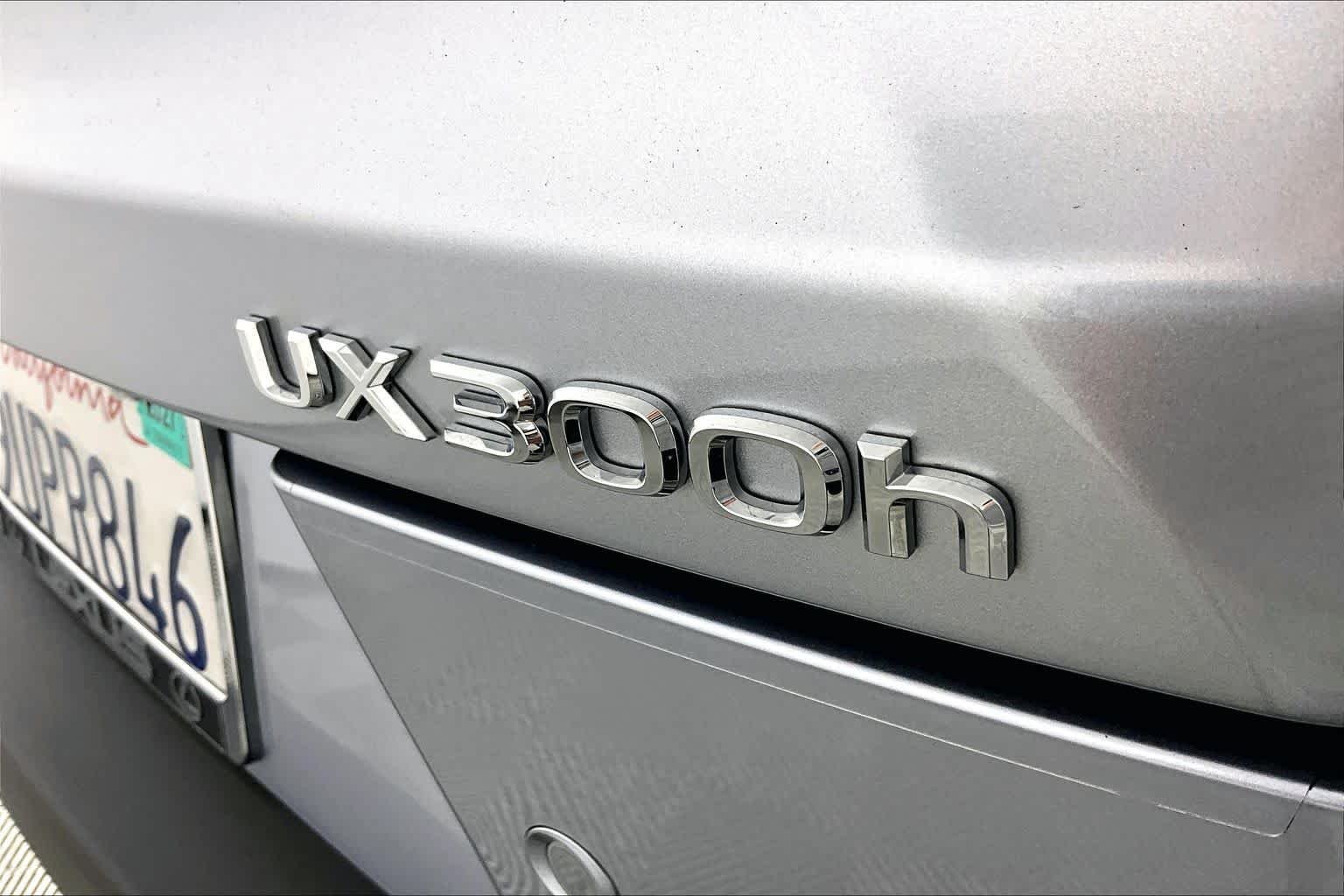 Used 2025 Iridium Lexus Premium image 29