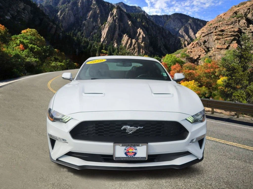 Used 2020 White Ford EcoBoost Premium image 6