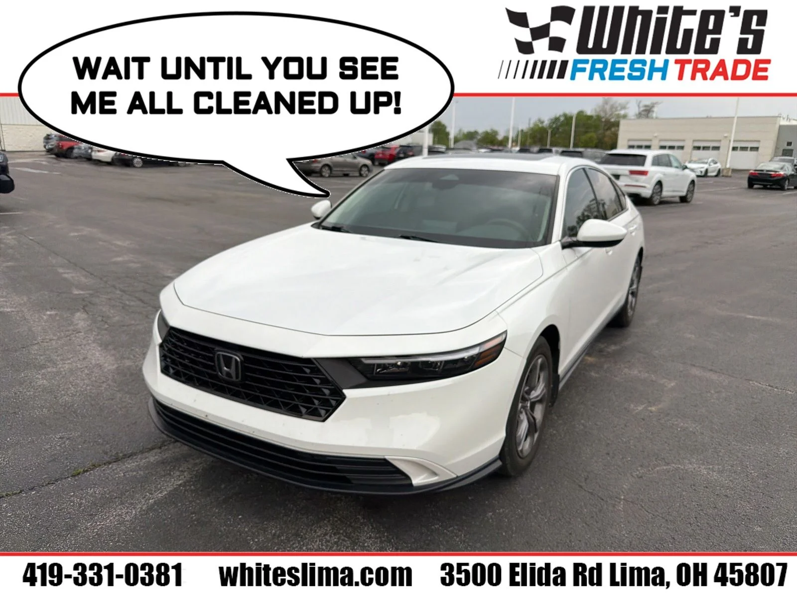 2024 Honda Accord 1.5T EX CVT's photo