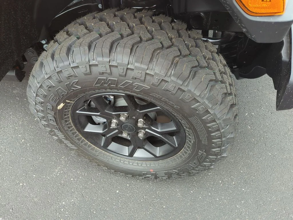 New 2026 Joose Exterior Paint Jeep Willys image 10