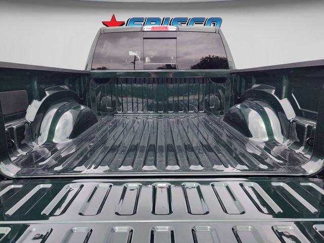 New 2026 Serrano-Green Metallic Exterior Paint RAM Big Horn/Lone Star image 31