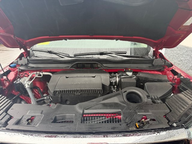 Used 2024 Red Honda Elite image 6