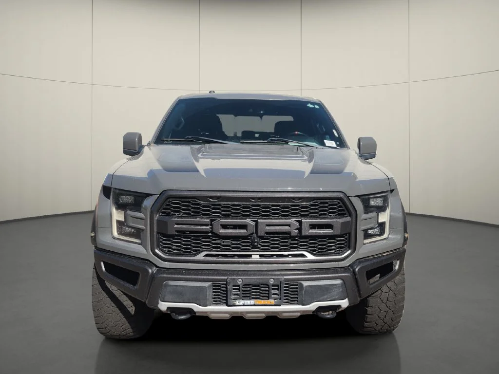 Used 2018  Ford Raptor image 2