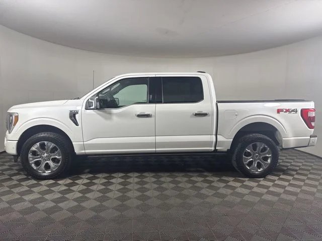 2022 Ford F-150 Platinum - Photo 6