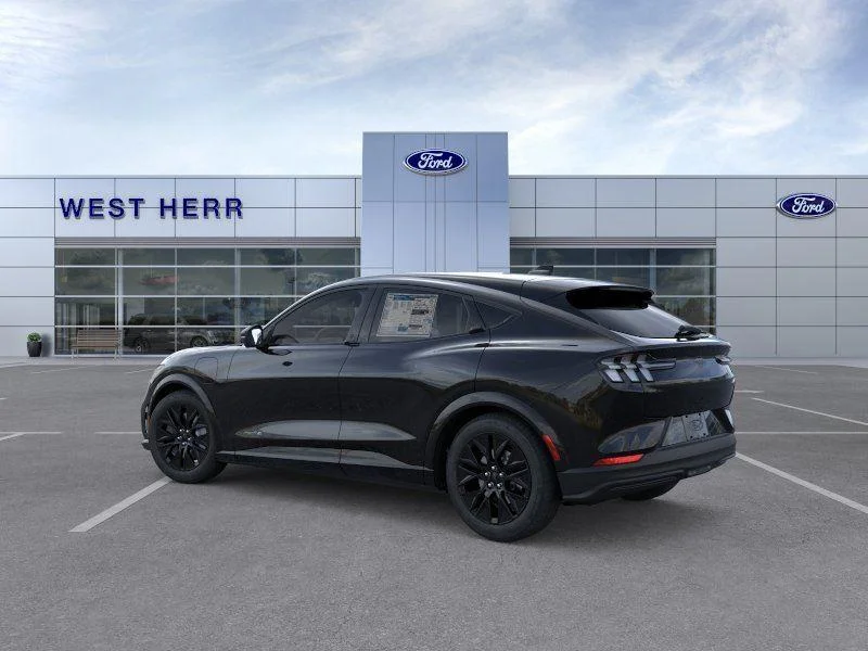New 2026 Shadow Black Ford Premium image 4
