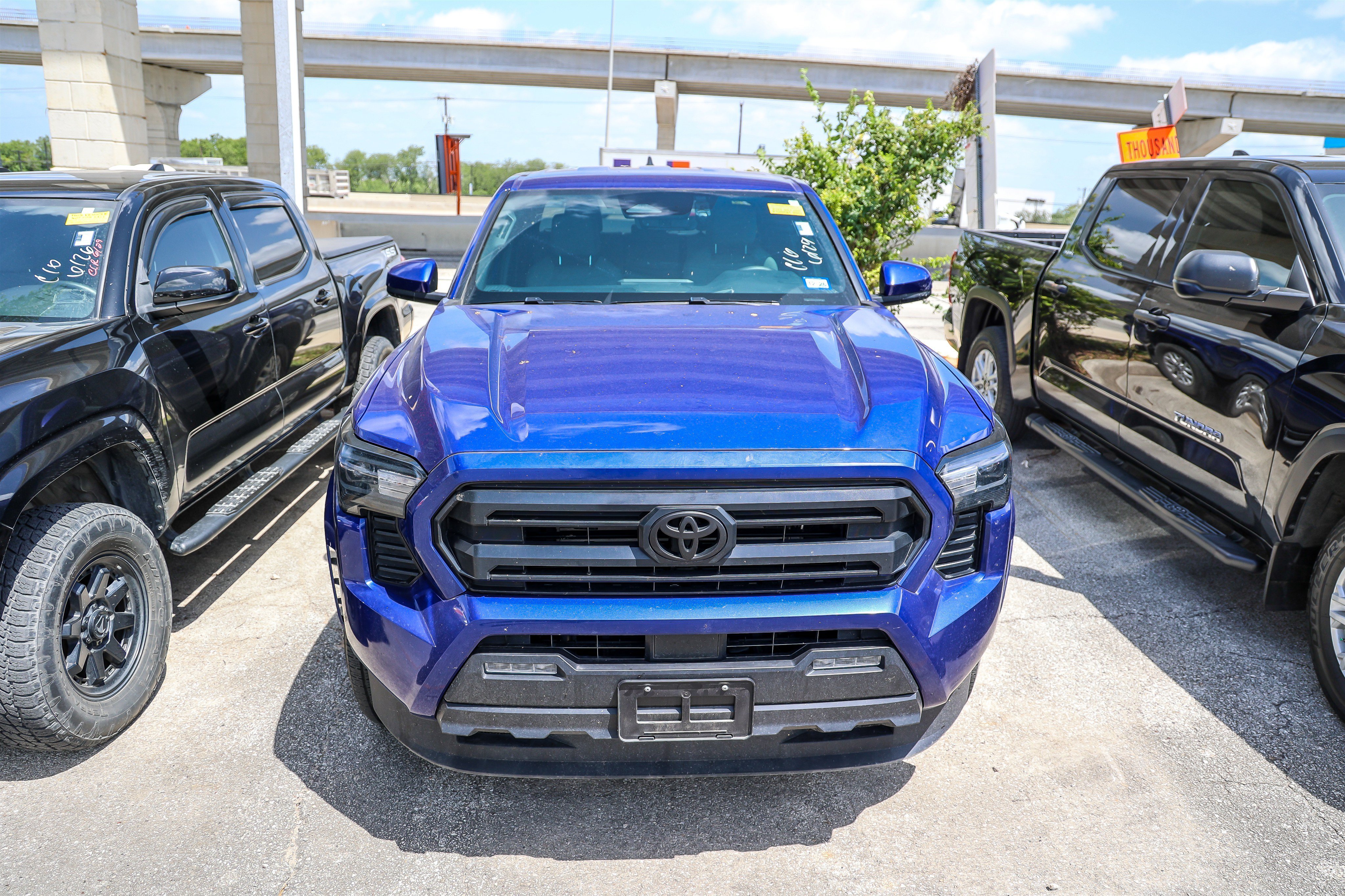 Used 2024 Blue Toyota SR5 image 4
