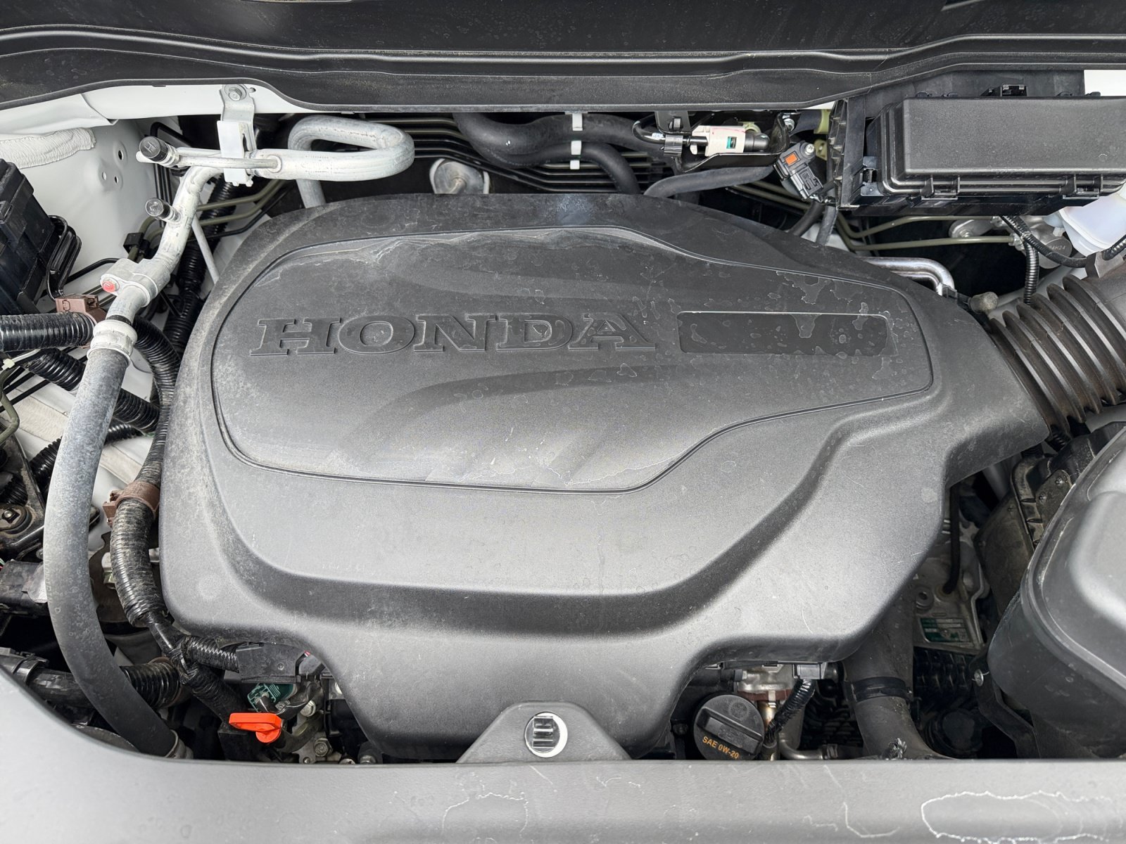 Used 2025 White Honda RTL image 7