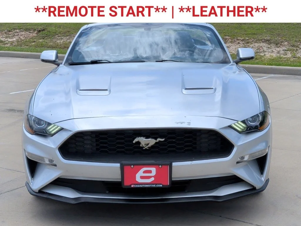 Used 2019 Ford Mustang EcoBoost Premium with VIN 1FATP8UH6K5126074 for sale in Navasota, TX