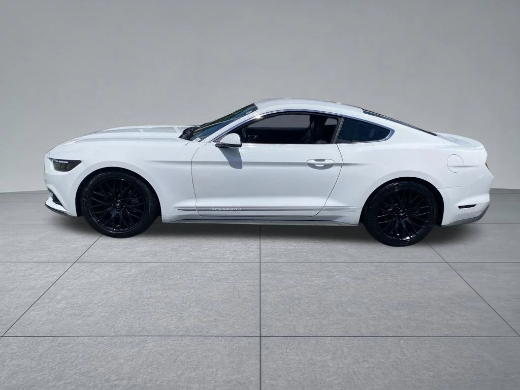 Used 2017 White Ford EcoBoost Premium image 3