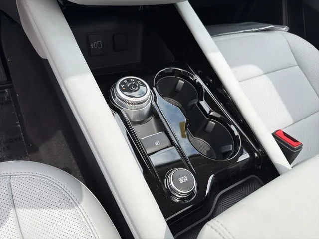 New 2026 Black Ford Platinum image 22