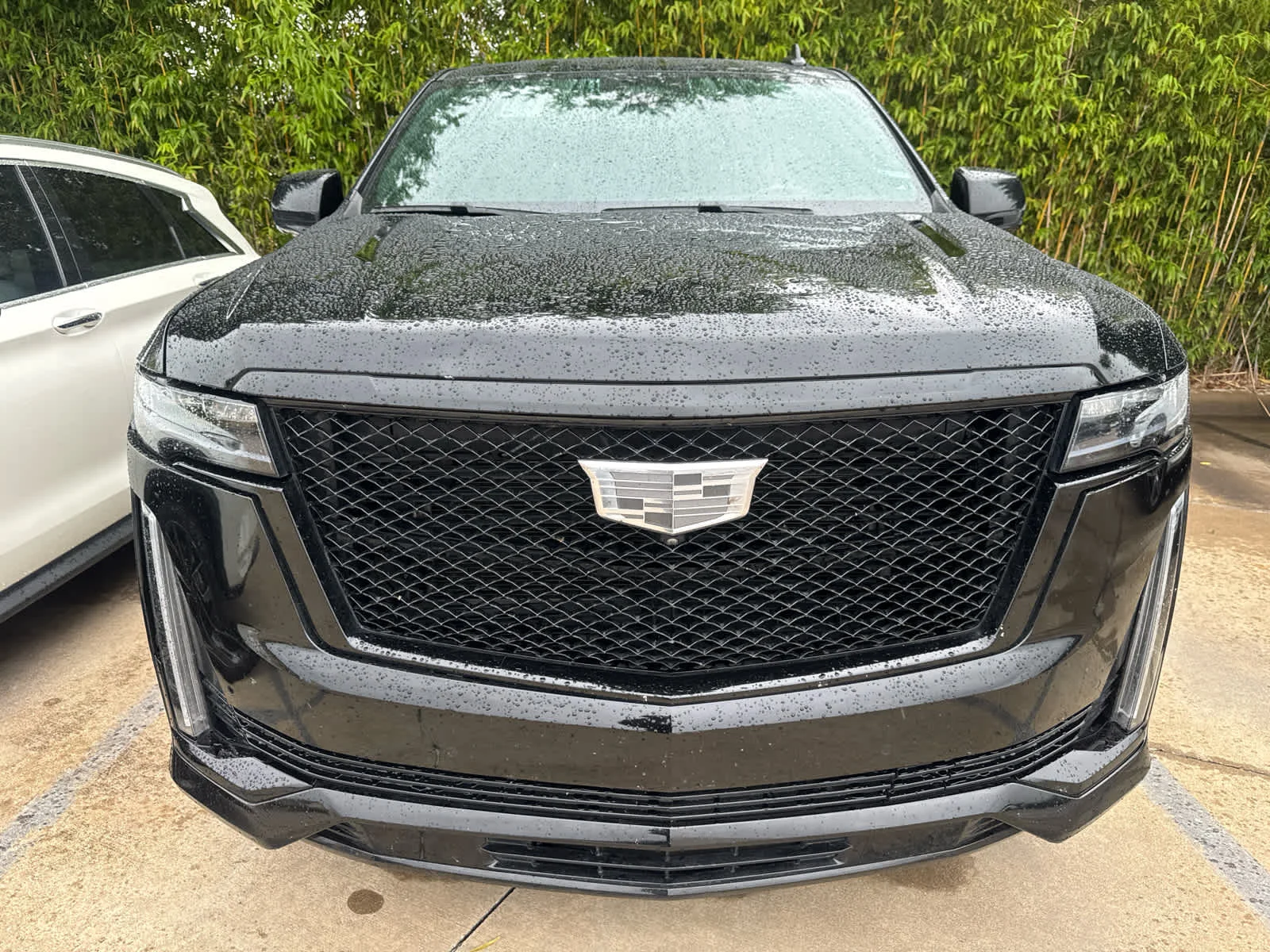 Used 2024 Black Raven Cadillac 4WD Sport image 4