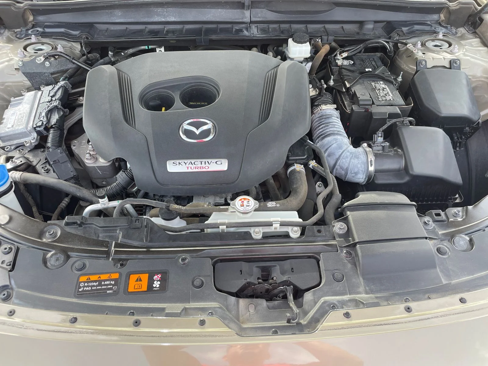 Used 2023  Mazda 2.5 Turbo Meridian Edition image 22