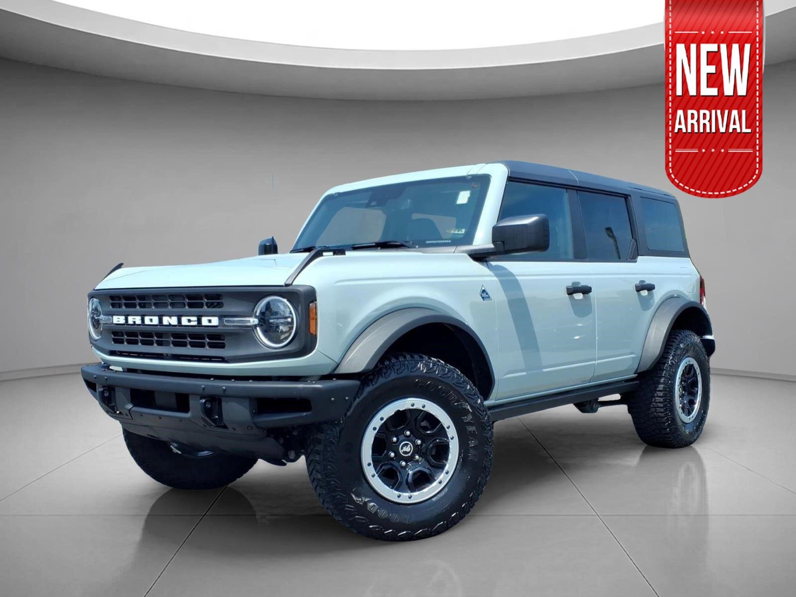 Used 2024 Cactus Gray Ford Black Diamond Sasquatch image 1