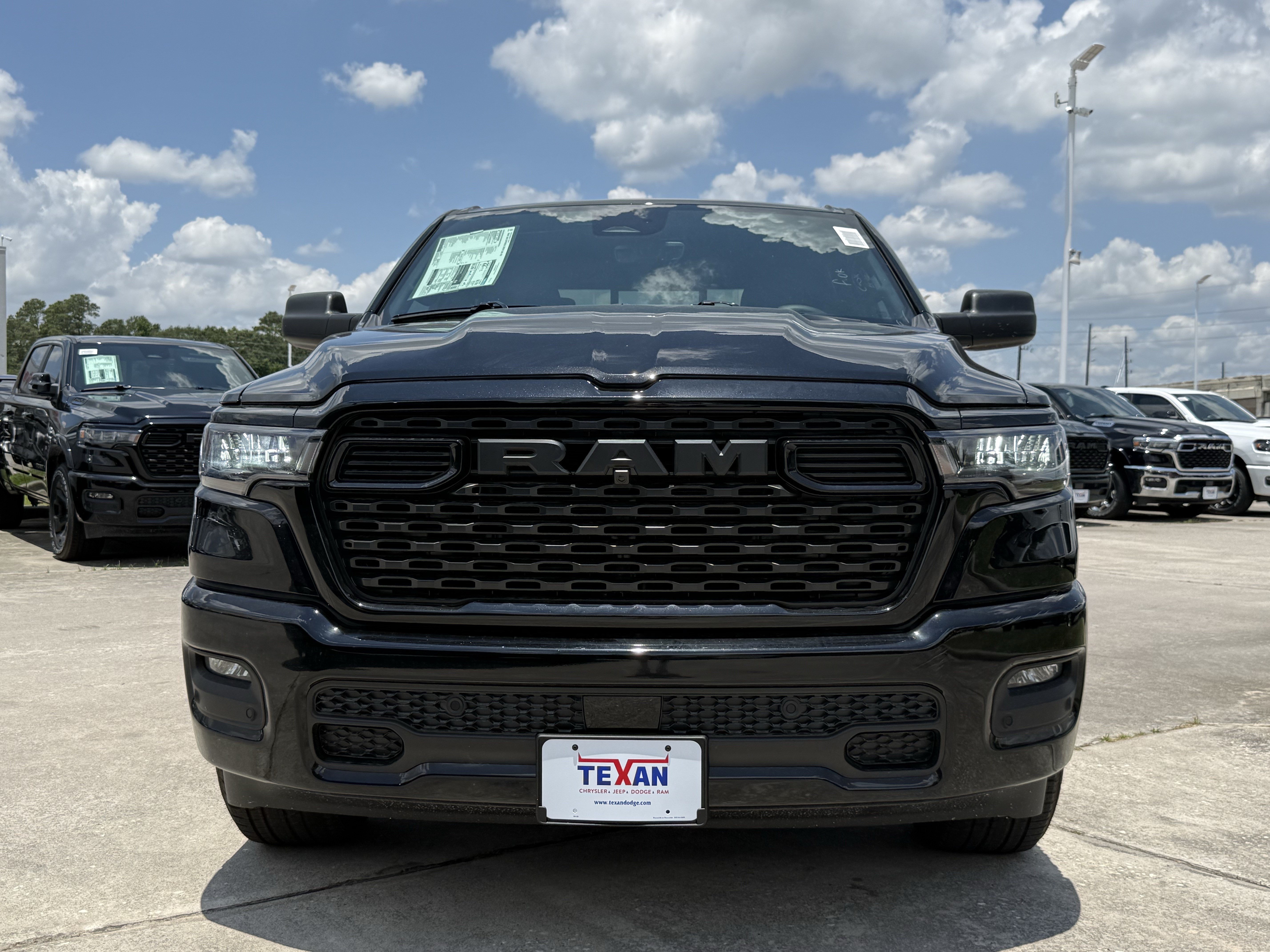 New 2026 Diamond Black Crystal Pearl-Coat Exterior Paint RAM Express image 6