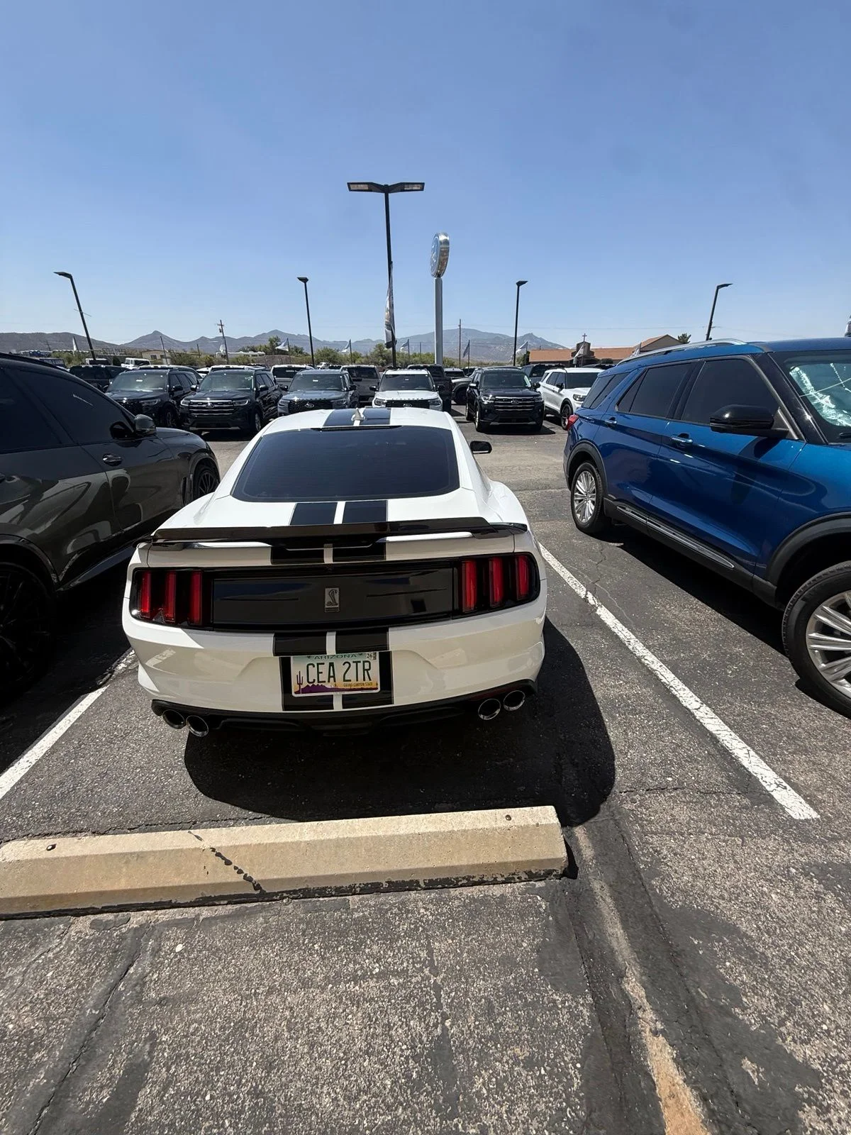 Used 2020 White Ford Shelby GT350 image 6