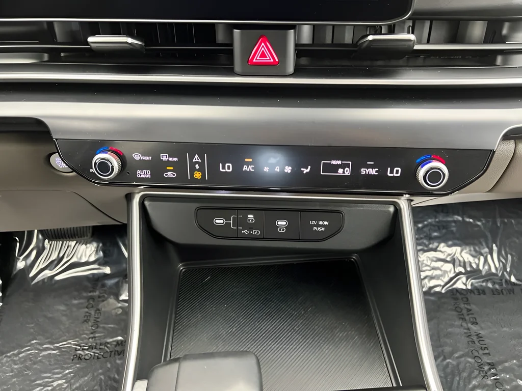 Used 2026 Panthera Metal Kia LXS image 12