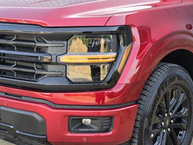 New 2026 Ruby Red Metallic Tinted Clearcoat Ford XLT image 25