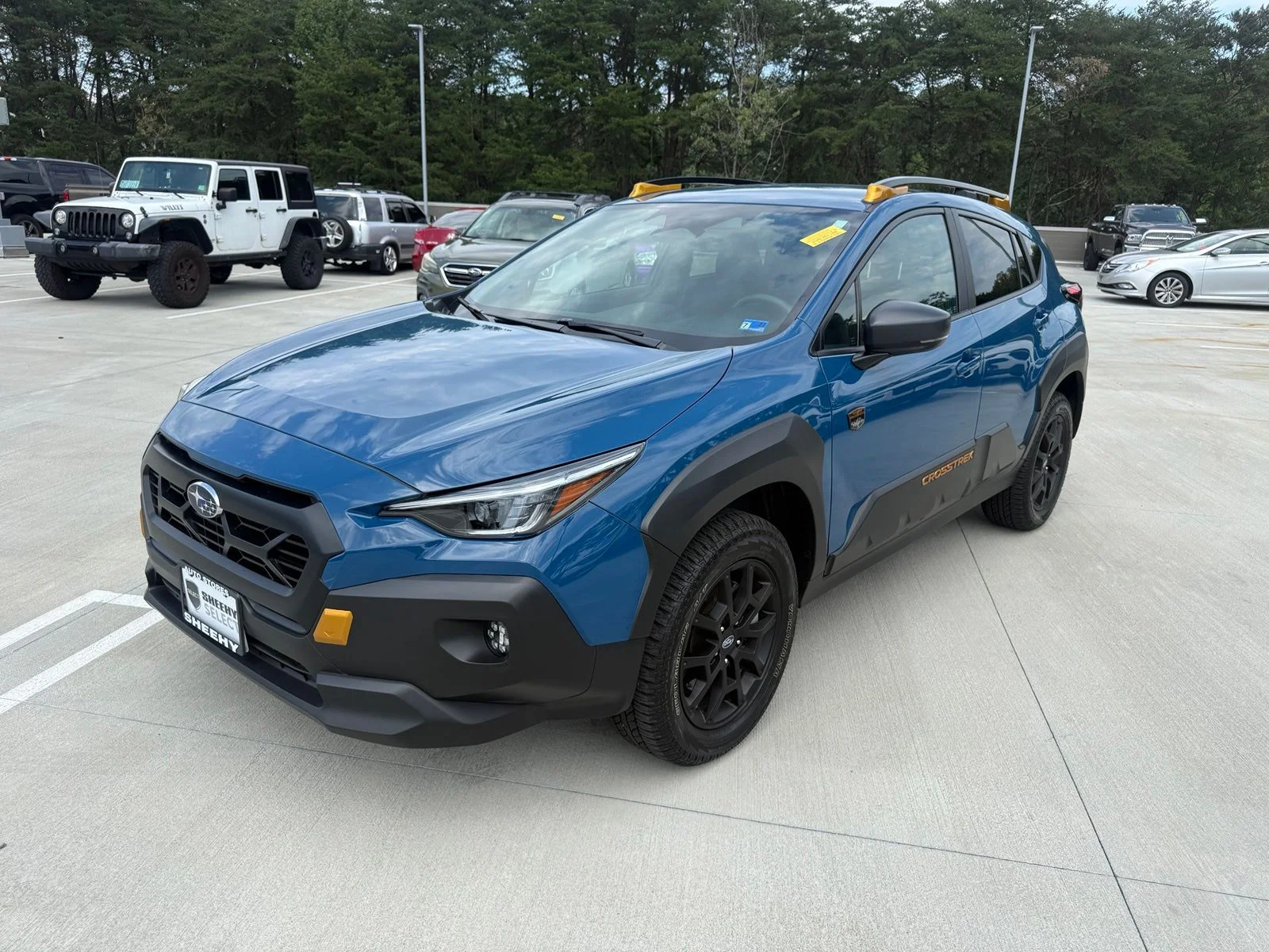 Used 2025 Blue Subaru Wilderness image 3