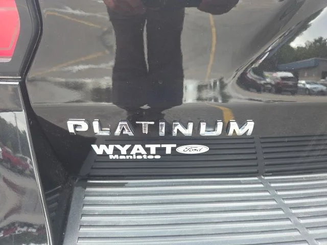 2020 Ford Expedition Platinum - Photo 34