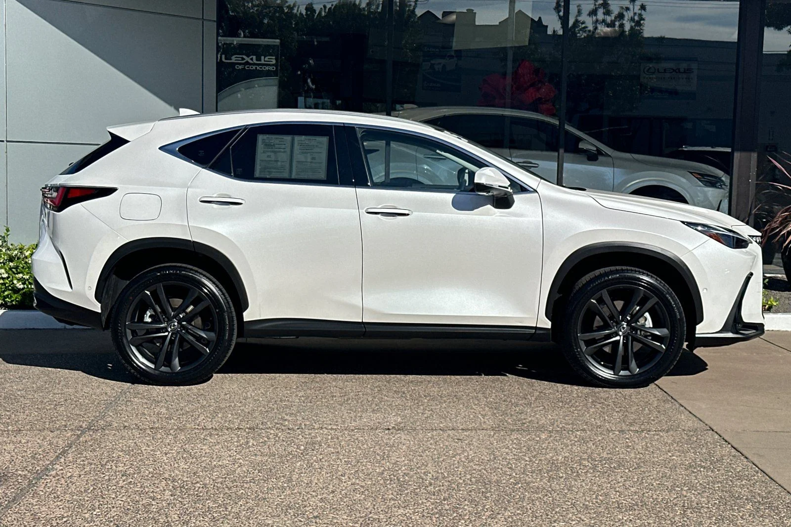 Used 2025 White Pearl Lexus 450h+ Luxury image 3