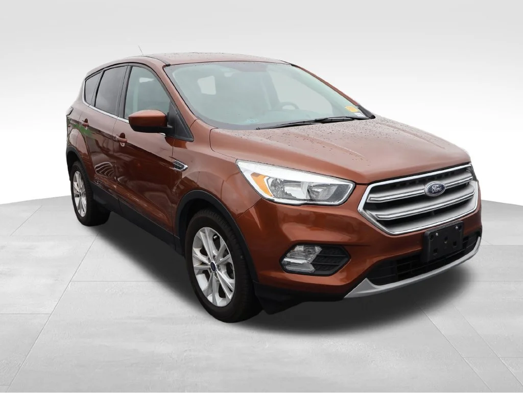 Used 2017 Canyon Ridge Metallic Ford SE image 13