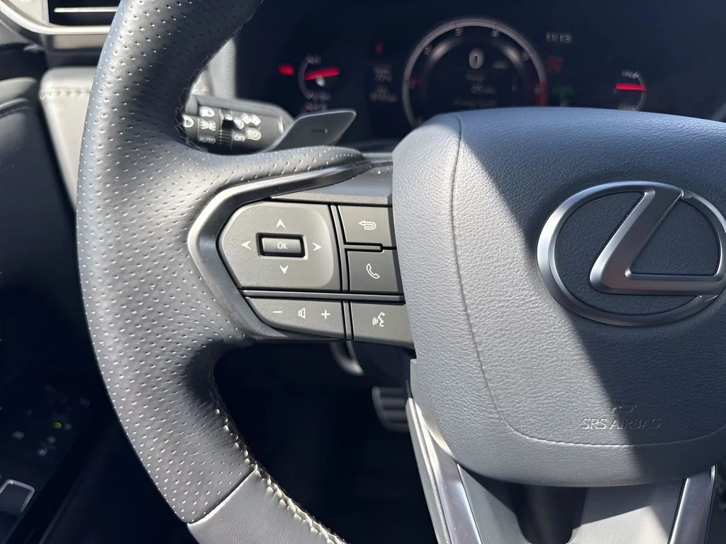 2023 Lexus LX F-Sport - Photo 16