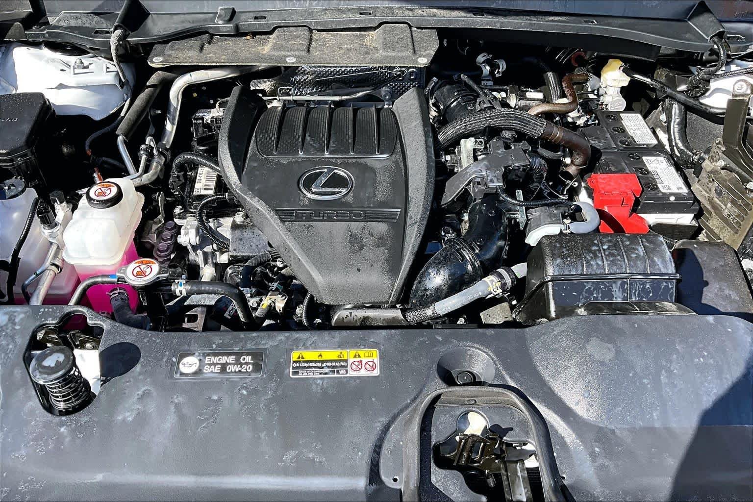 Used 2025 Wind Chill Pearl Lexus Premium image 32