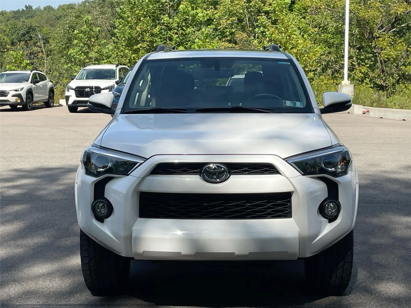 Used 2019 Super White Toyota SR5 Premium image 8