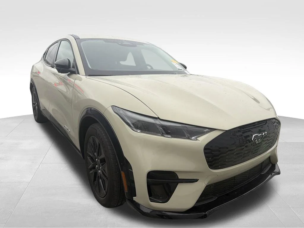 Used 2025 Desert Sand Ford Premium image 12