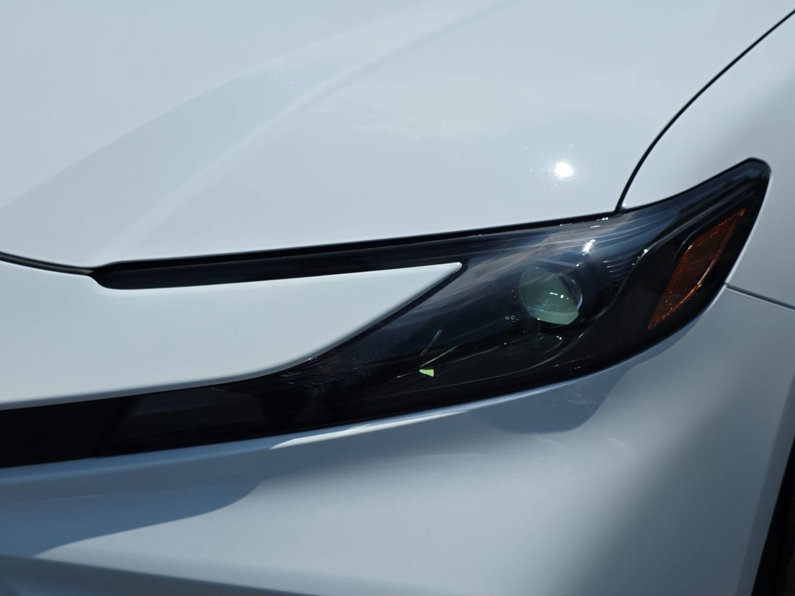Photo 29