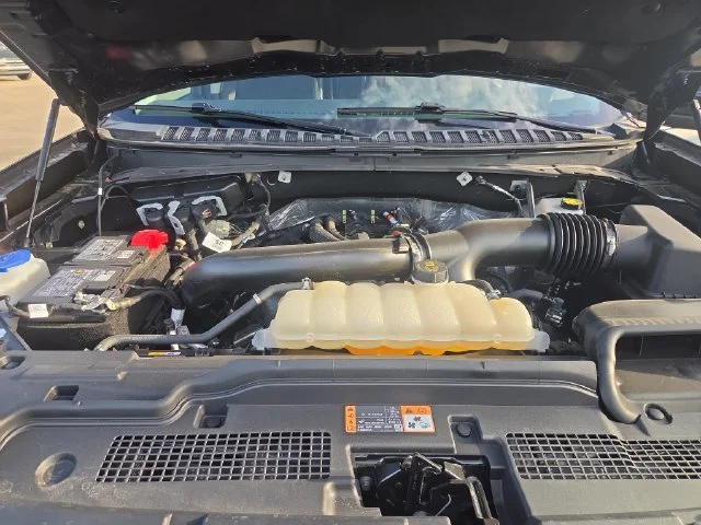 Used 2025 Gray Ford Active image 24