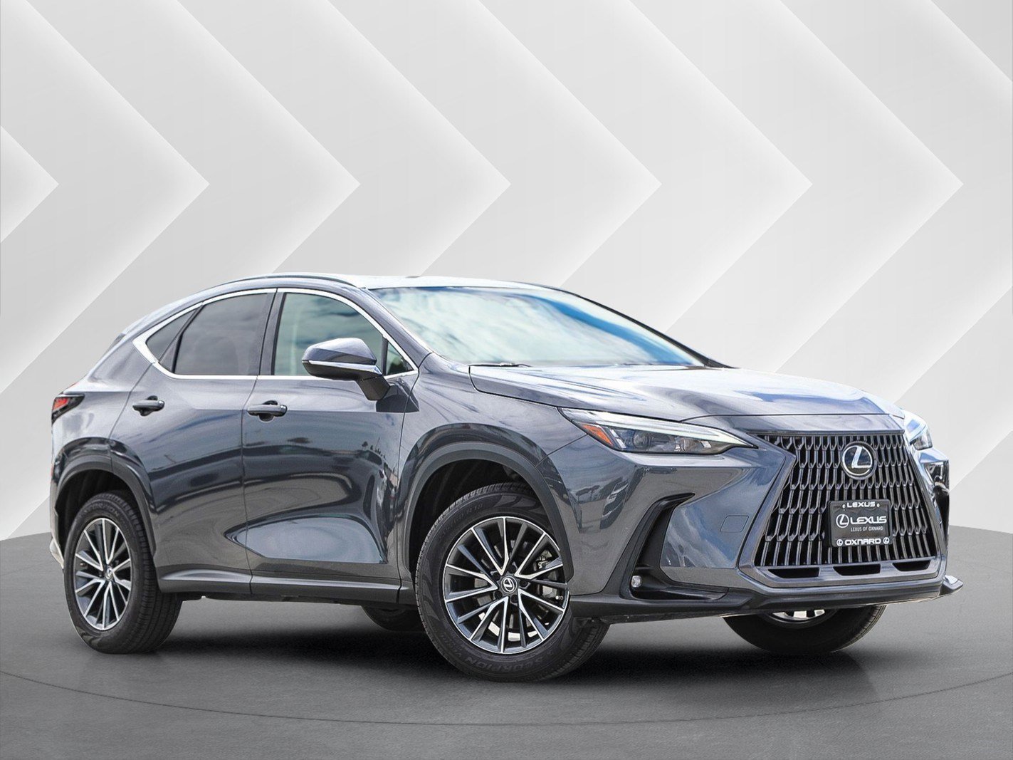2022 Lexus NX 350 350 AWD's photo