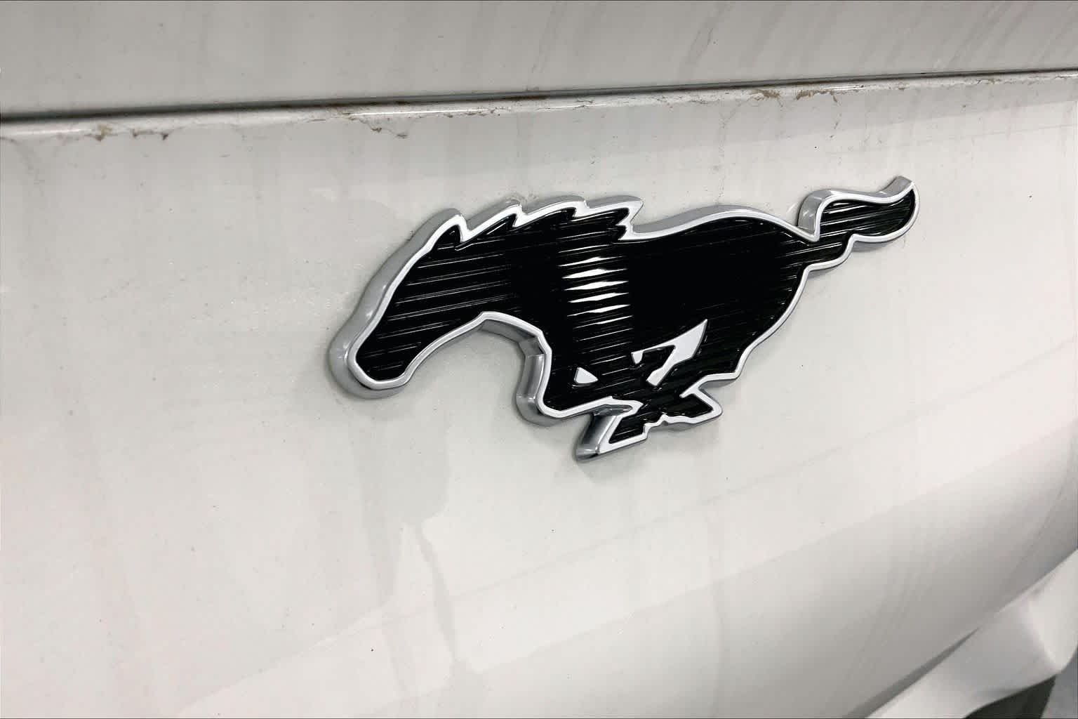 New 2026 Star White Metallic Tri-coat Ford Select image 12