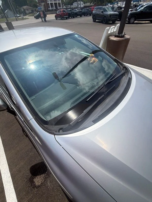 Used 2015  Honda LX image 7