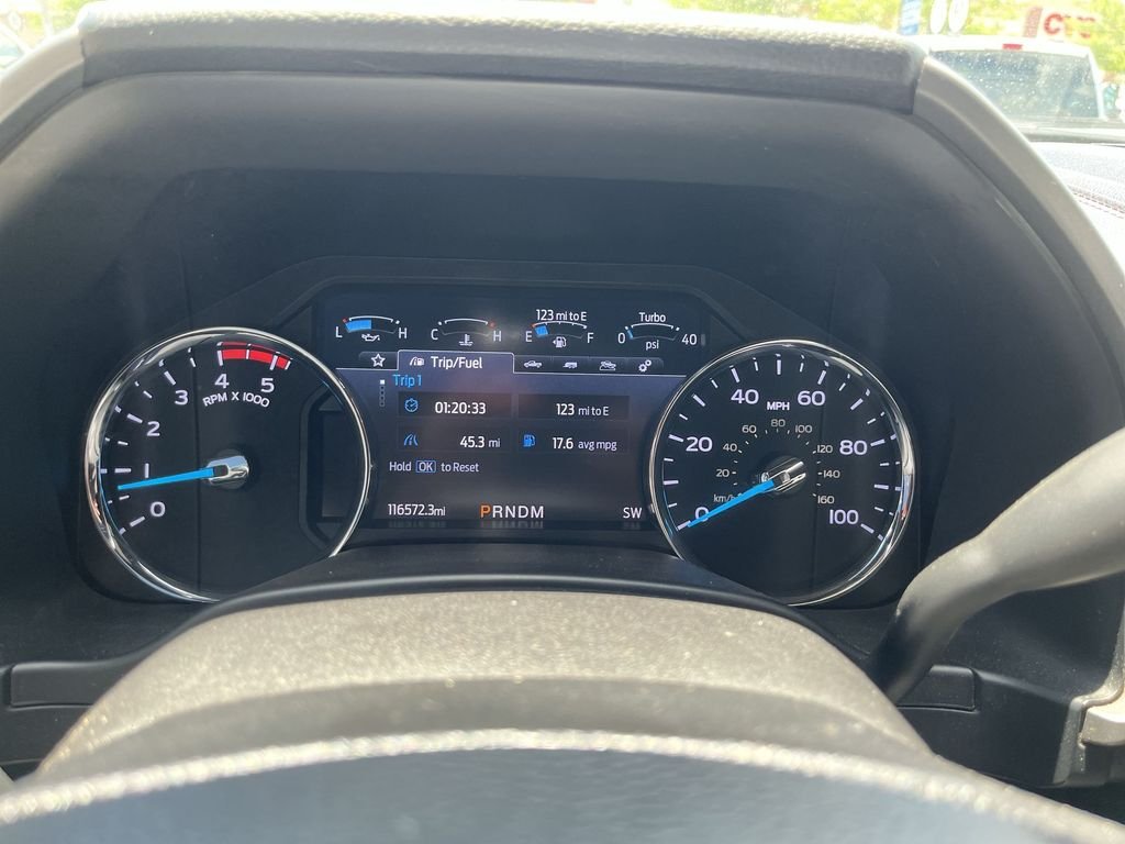 Used 2020 Silver Ford Platinum image 15