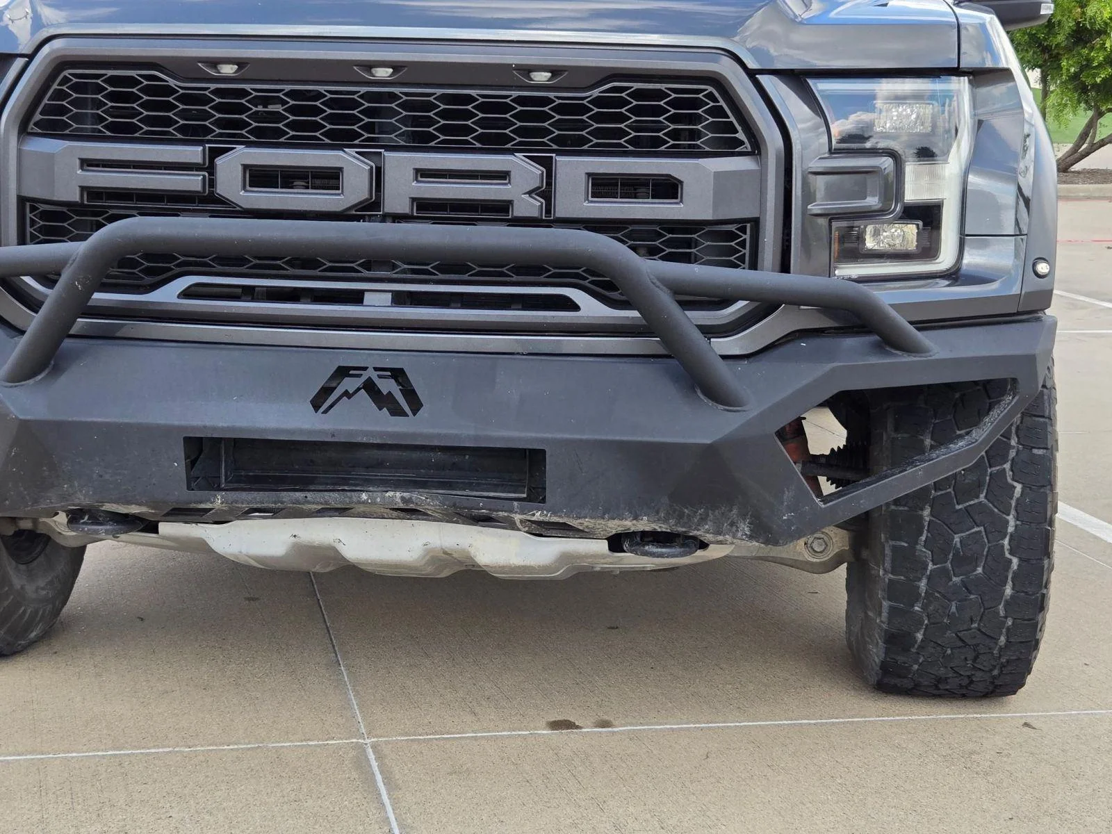 Used 2019 Magnetic Ford Raptor image 6