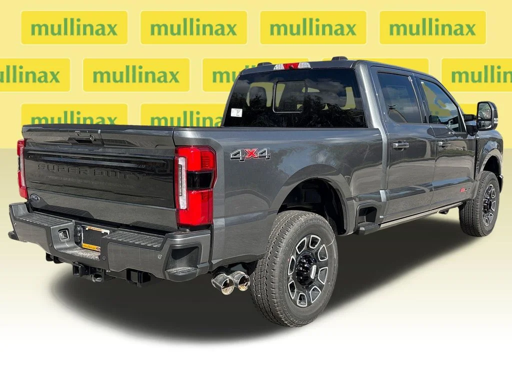 New 2026 Gray Ford Platinum image 4