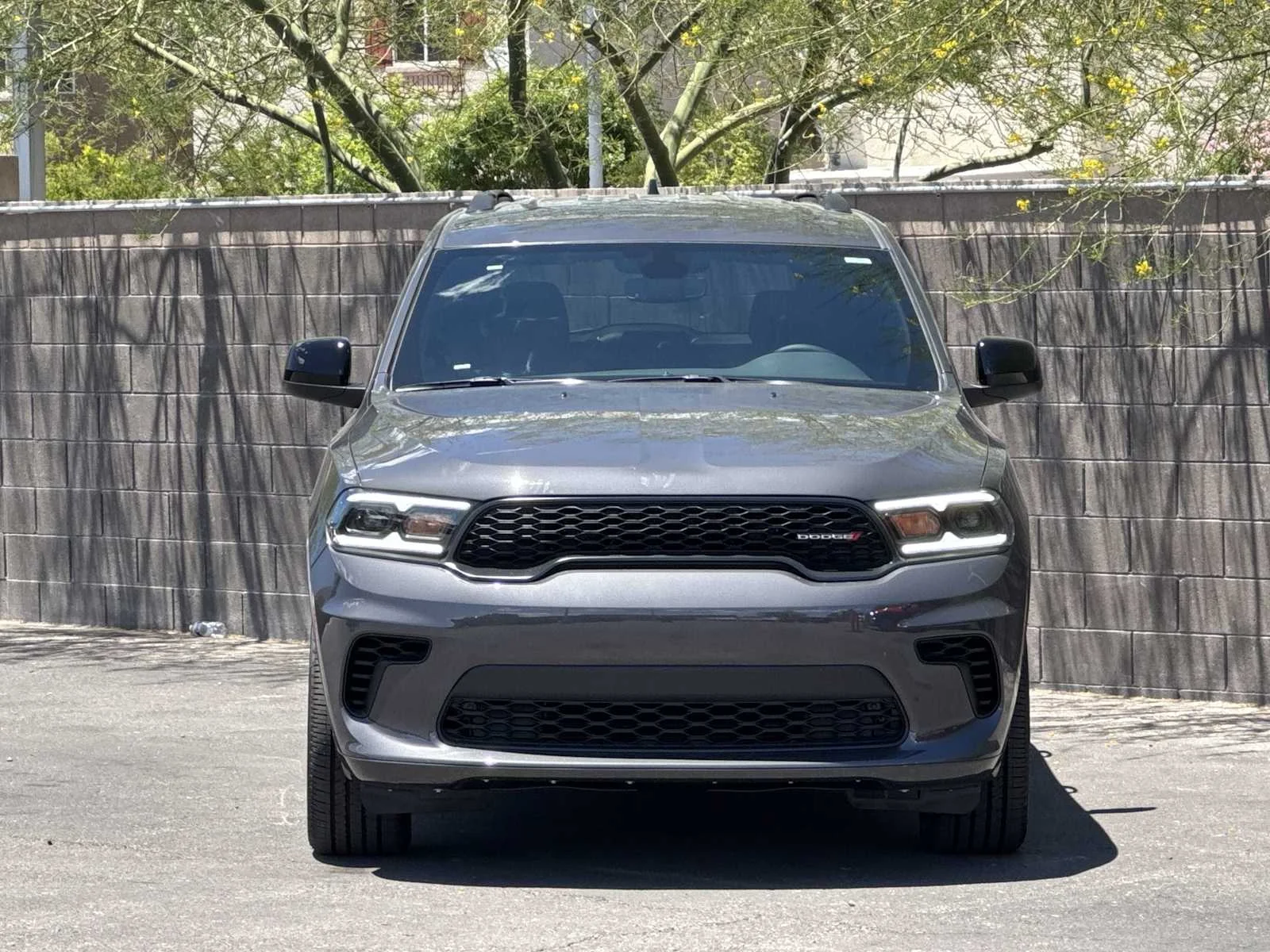 New 2026 Vapor Gray Exterior Paint Dodge GT image 3
