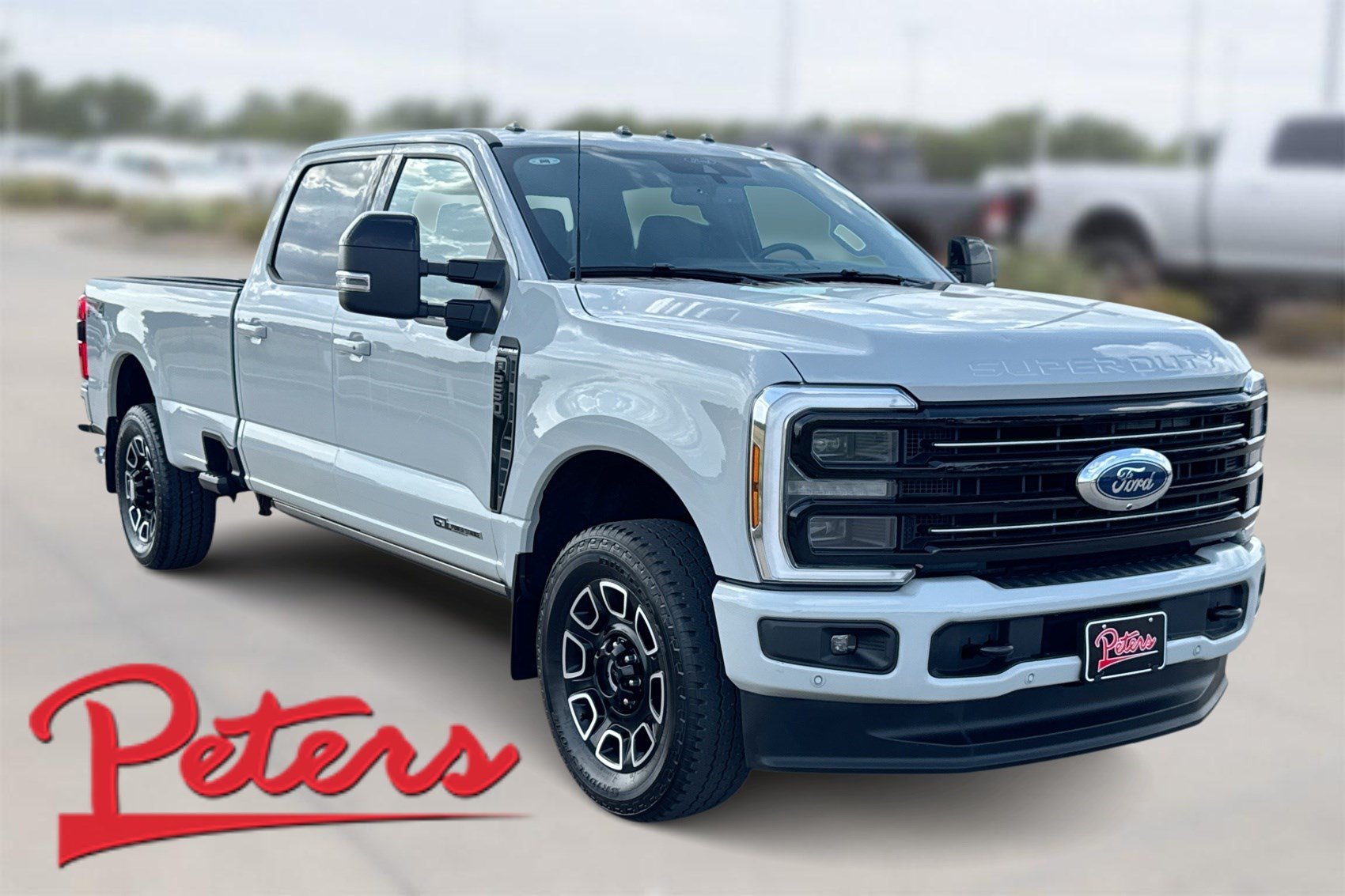 Used 2025 Gray Ford Platinum image 1