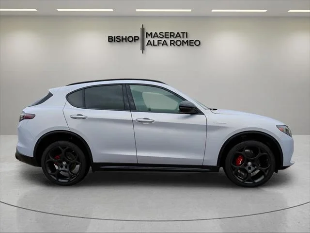 2025 Alfa Romeo Stelvio Base - Photo 8