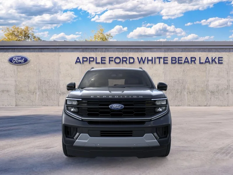 New 2026 Black Ford Platinum image 29